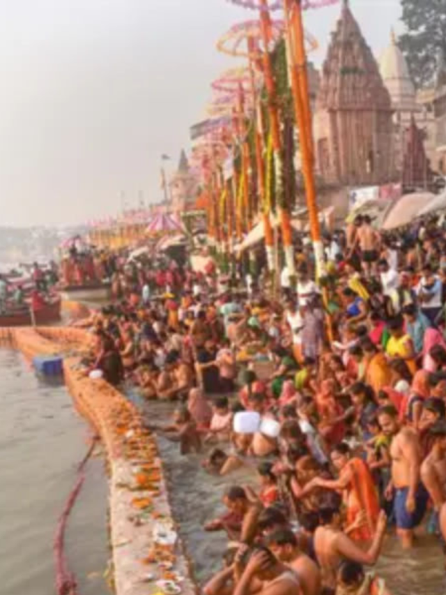 Makar Sankranti (1)